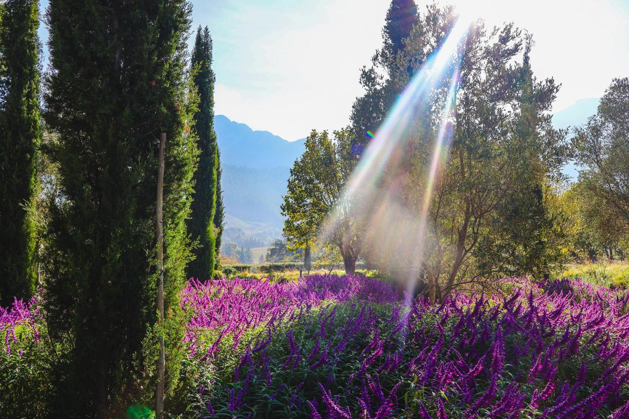 La Villa Franschhoek Dış mekan fotoğraf